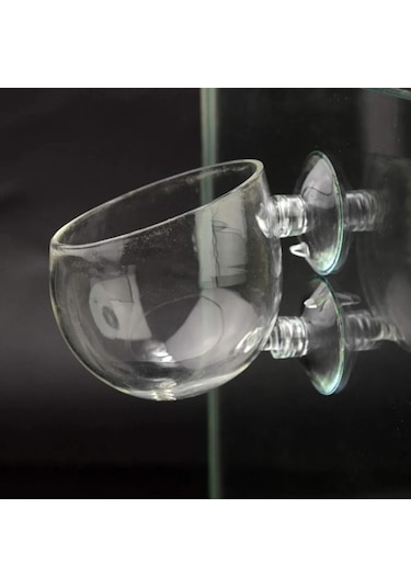 Singree Akvaryum Bitki Taşıyıcı Cam Kase - Sürekli Oksijen Sağlar, Su Kalitesini Artırır, Emici Çene İle Sabitlenir, Tümü İçin Uygun