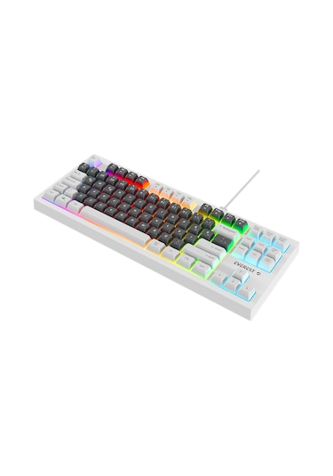 Appa Everest Kb-98 Sılent Tkl-mini Gri Mavi/beyaz Rainbow Q Membrane Klavye