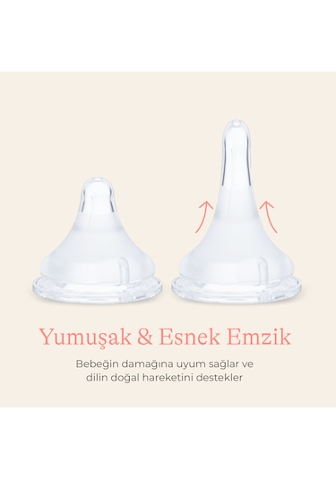 Lansınoh 2 x 330 Ml Biberon ve Naturalwave Biberon Emziği 6 Ay+