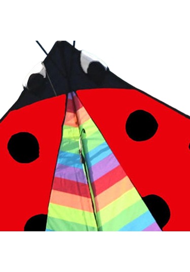 Suntek Delta Kite Fly Uçurtma Spor Bahçesi Için Büyük Kanat