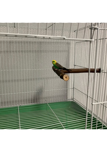 Vkemall Kuş Eğitimi Ahşap Standı - 18x15cm T Tipi Konaklama Ve Oyun Platformu