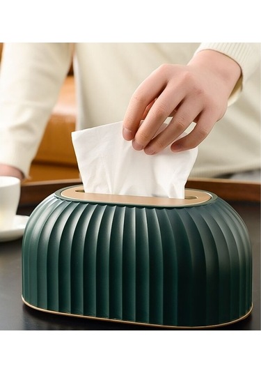 Pazly Doku Kutusu Işık Lüks Bahar Kağıt Kutusu Kaldırma Ev Oturma Yemek Odası Dekor Diğer