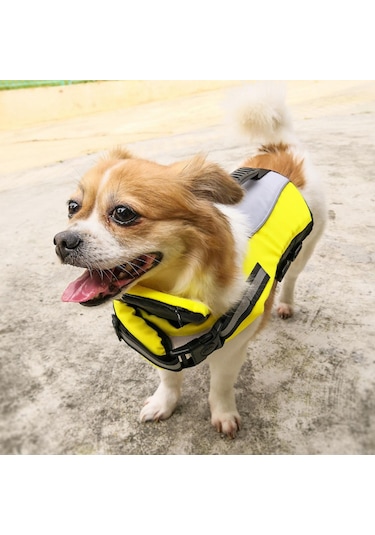 Homyl Yüzme Havuzu Köpek Için Pet Can Yeleği Koruyucu