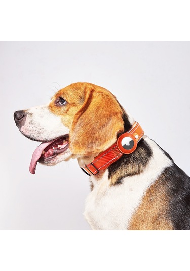 Geeroyoo Yeni Model Hayvan Takip Tasması: Airtag Uyumlu Köpek İzleme Kolyesi, Kayıp Önleyici, Siyah Renk, Boyut S Siyah