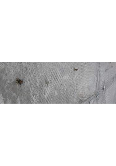 Rabis Teli 50x150(50Ad Top)