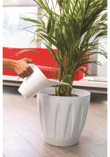 1 Lt Çiçek Sulama Kabı Kaliteli Plastik Kaktüs Orkide Ve Çiçek Sulama Kabı 1