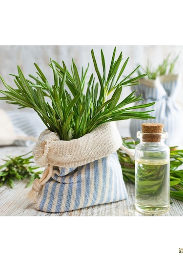 Doğaltercih Doğal Ve Saf Biberiye Suyu Hidrosol 100 ML