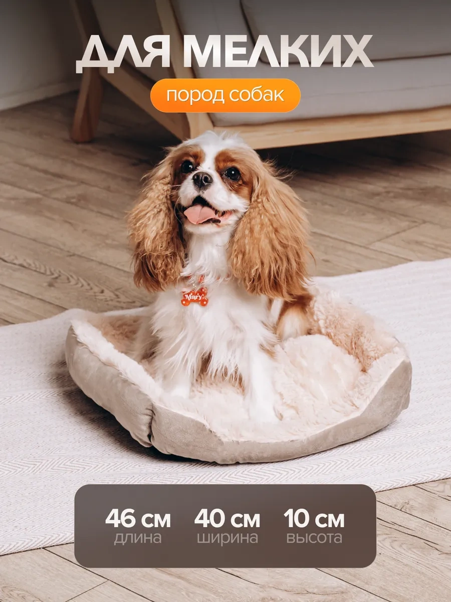 Petfort Kedi Ve Köpekler İçin Yatak 362009655