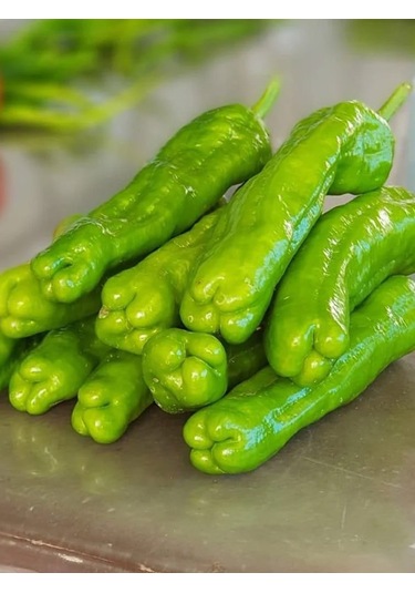 +50 Adet Üçburun Biber Tohumu