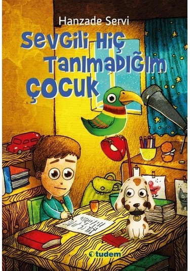 Sevgili Hiç Tanımadığım Çocuk - Hanzade Servi - Tudem Yayınları