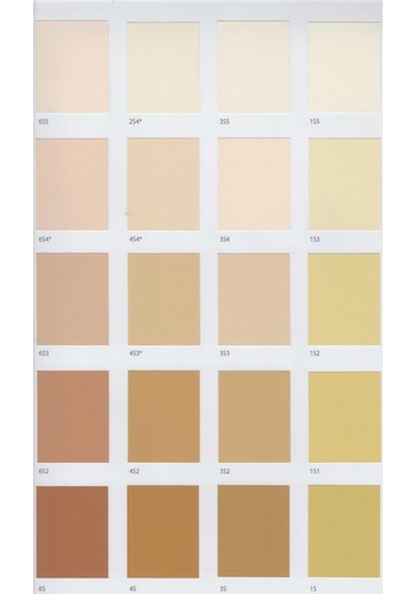 Filli Boya Aqusto Silan Silikonlu Dış Cephe Boyası 15 Lt 1 Adet