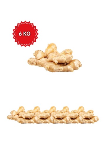 Verita Taze Kök Zencefil 6 Kg