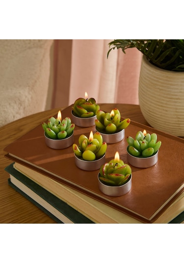 Karaca Home Sukulent 6'lı Tealight Mum Yeşil