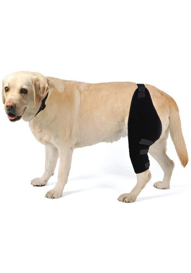 Homyl Köpek Dizlik Pet Dirsek Koruyucu Ped Burkulma Sol-arka