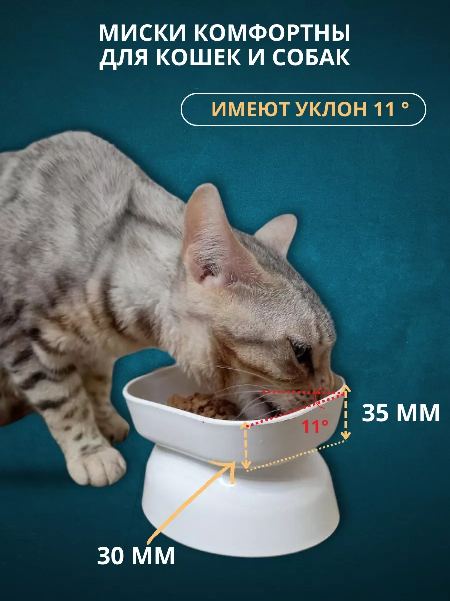 Anticarapki Duylarına Sahip Kedi Maması Kapları 2 Adet. 161936912