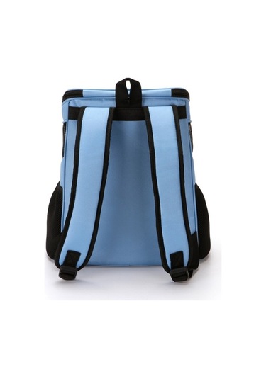 Dm Cbtx Taşınabilir Katlanır Nefes Alabilir Evcil Hayvan Taşıyıcı Sırt Çantası, 45x36x31cm Mavi