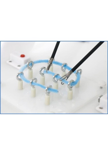 Edulaparoskopi Laparoskopik Delik Yuvası Pensi Simülasyon Eğitim Materyali El Aleti