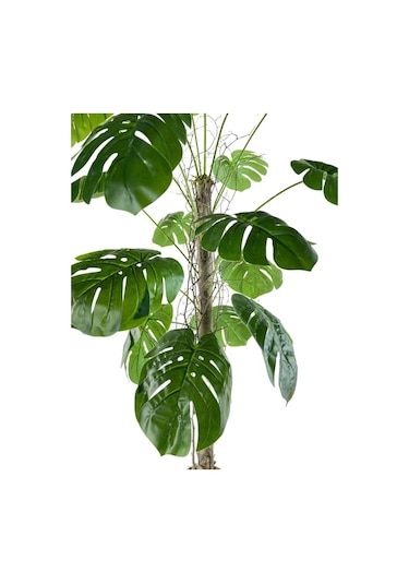Gümüş Saksılı Yapay Monstera 18 Dallı Çalılı Gövde 120 x 60 CM
