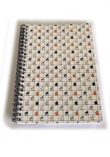 10'lu Okul Defter Seti