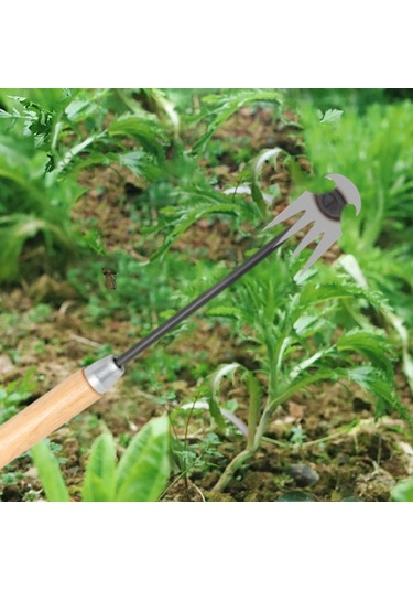 Suntek El Ayıklama Temizleme Yard Avlu Çim Ahşap Saplı Hafif