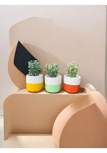 Renkli Saksı Seti Sukulent Kaktüs Dekoratif Eşya- Ev Dekorasyon - Saksı Seti 3