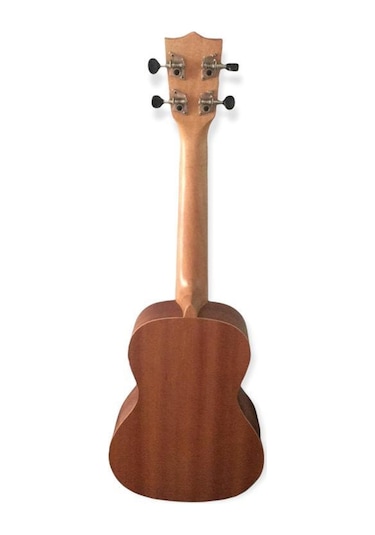 Ukulele - Puka - Concert