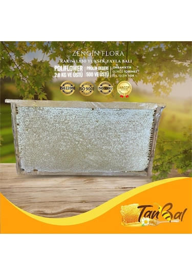 Tanbal Yayla Çiçek Balı 2800 G