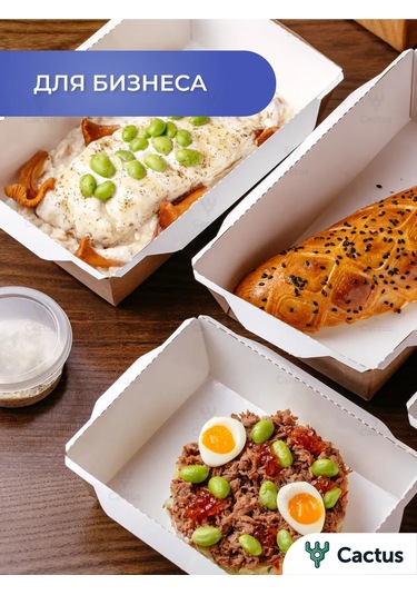 Cactus Kapaklı Tek Kullanımlık Yemek Kabı 500 Ml 391854527 100 adet