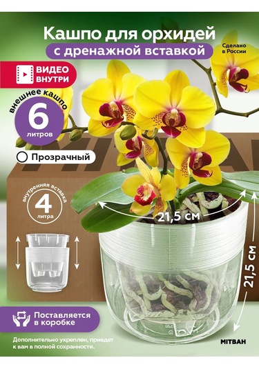 Mıtbah Orkide Saksısı Şeffaf Saksı 6 L 412404371