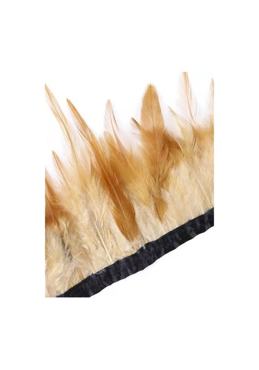 Kreativka Şerit Üzerinde Tüyler. Kurdela. 207825651