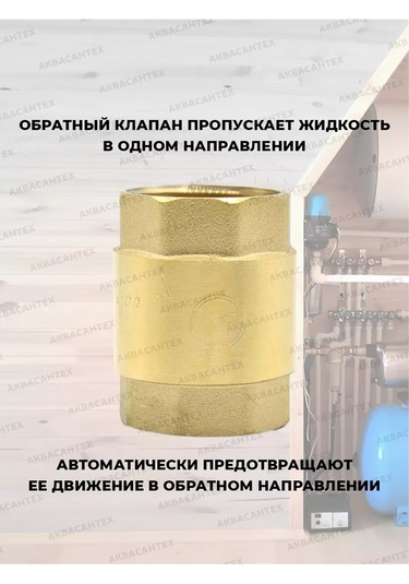 Thermofix 1" Pirinç Milli Geri Tepme Valfi 152782157