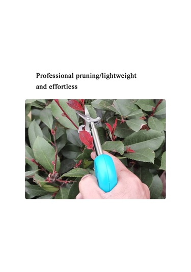 Bahçecilik Sivri Meyve Toplama Makasları Black