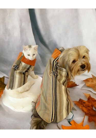 Kemique Stripe Orange Su İtici Köpek Yağmurluğu