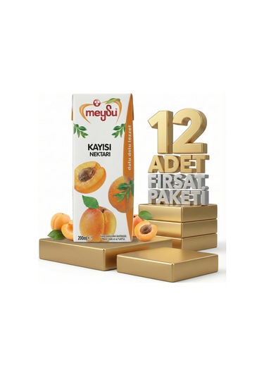 Meysu Nektar Kayısı 12x200 Ml