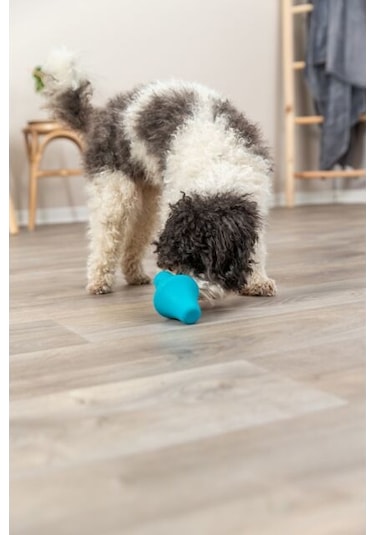Trixie Naturel Kauçuk Köpek Oyuncağı Ödül Hazneli 12 CM