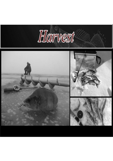 Kış Buz Olta Üst 20 Parça Cw 0.2-9.0g Mini Olta Taşınabilir Mücadele 155mm Buz Olta Takımı 1.5-6.0g-20pcs