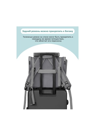 Pawdle Kedi Ve Köpekler İçin Taşıma Sırt Çantası 360670068