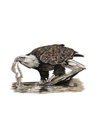 Kartal Içme Suyu Kalem Ve Mürekkep Sanat Vinil Çıkartma