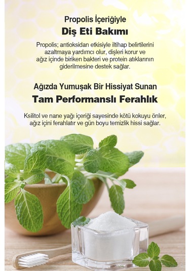 Dashu Daily Mouthwash Cool Mint Nane Aromalı Ağız Bakım Suyu 800 ML