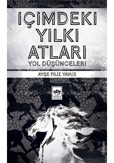Içimdeki Yılkı Atları - Yol  Düşünceleri