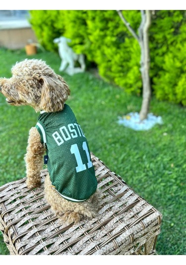 Salya Store Köpek Kıyafeti Boston Köpek Forma Kedi Köpek Elbisesi