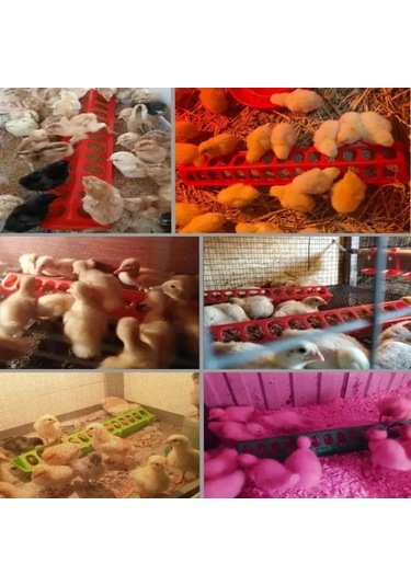 Pazly Çivciv Ve Kümes Hayvanları İçin Gözenekli Yemlik, Uzun Besleme Yalağı, 50cm, Plastik