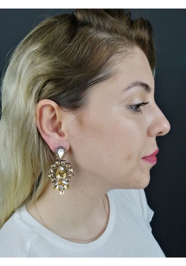 Fdayaksesuar Gold Rengi Küpe Modeli Frdy210 Çok Renkli
