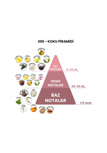 BEX 306 Unisex Parfüm EDP 50 ML