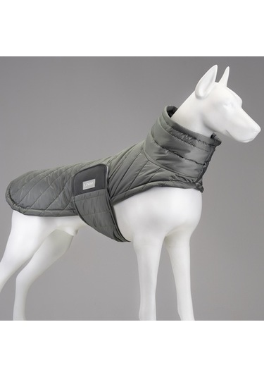 Air Puff Special Green Köpek Montu