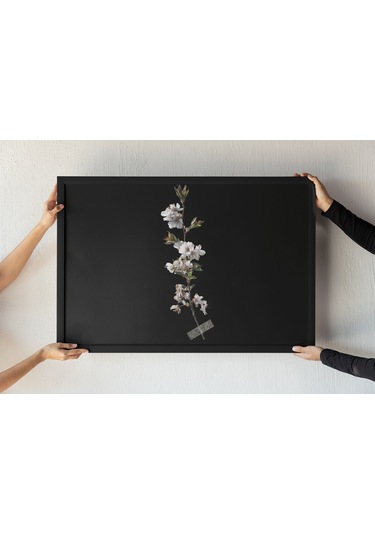 Minimalist Çiçek Dalı Çerçeveli Tablo Siyah Fon Üzerine Beyaz Çiçek Sanatı Duvar Dekoru 30x42 Cm