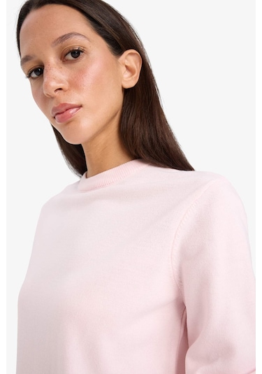 Defacto Relax Fit Bisiklet Yaka Triko Kazak C0058ax25wnpn648 Pembe Defacto Relax Fit Bisiklet Yaka Triko Kazak C0058ax25wnpn648 Pembe