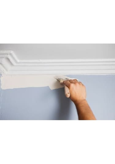 Asemu Kestirme Boya Badana Fırçası Tüm Numaralar Plastik Saplı