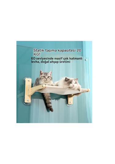 Aurora Pencerenin Yanına Bir Kedi, Bir Manmaçer Evesi Ve Yatağı