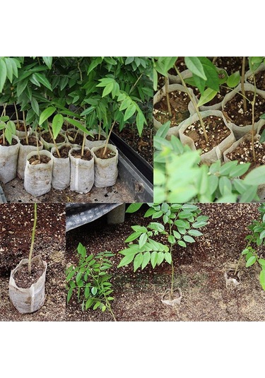 100 Adet / Paket Kreş Saksıları Fide Yetiştirme Torbaları Çevre Dokumasız Kreş Torbaları